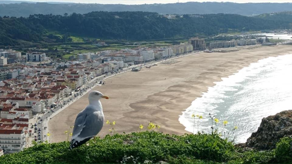 West Coast Dream Nazare Villa Exteriör bild